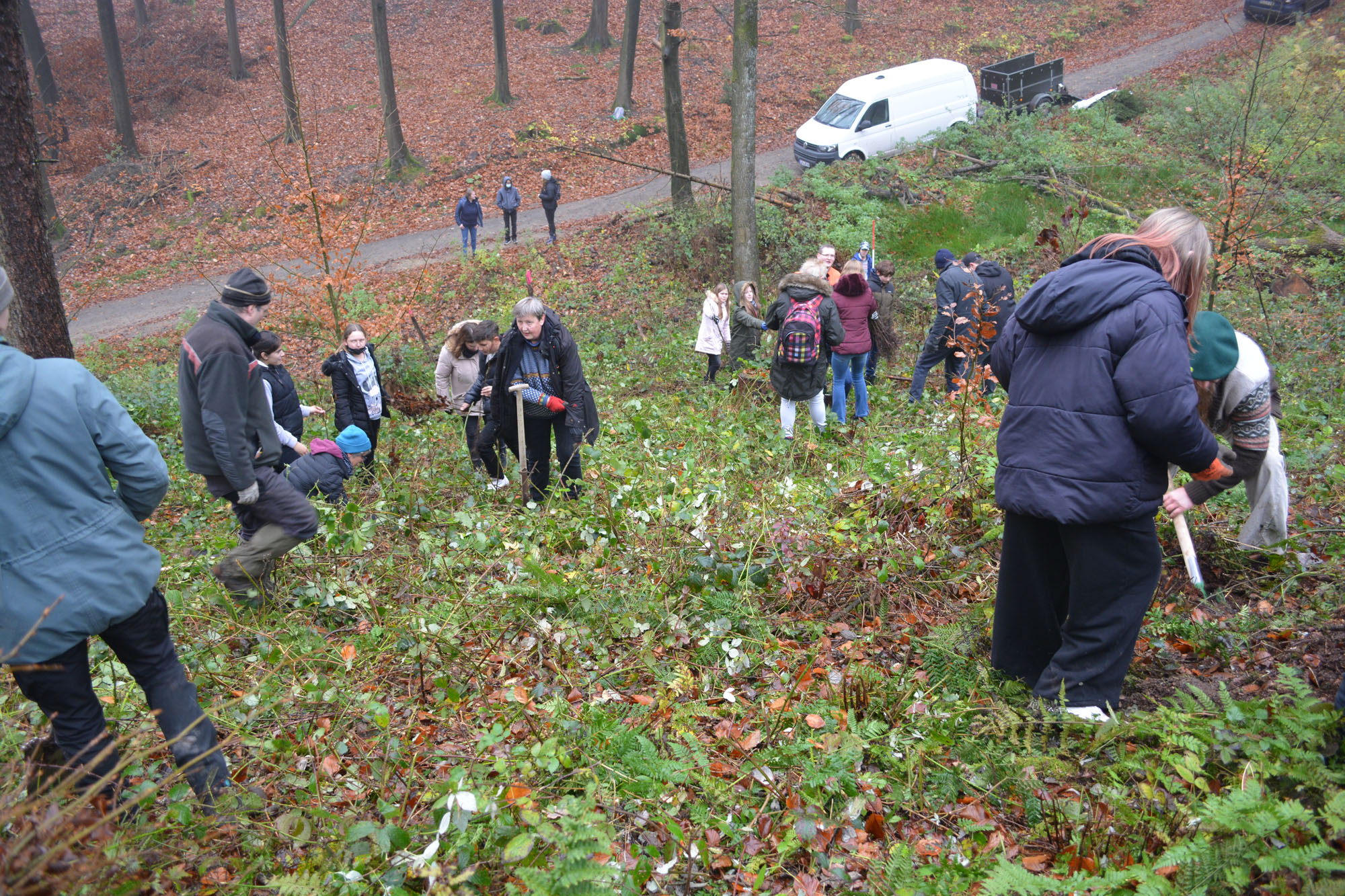 Am Nordhang des Wiehengebirges waren Schüler:innen, Mitglieder von KUBIKUS e.B., das Team der Forstverwaltung und wir Grünen mit dem Pflanzen von heimischen und Hitze-resistenten Laubbäumen angagiert.